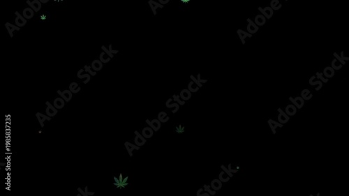Looping cannabis leaf icons swirling on black background. Ideal for cannabis industry, market trends, public health topics, and informative infographics.