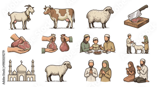 Colored vector set of eid al adha qurbani elements, isolated livestock animals cow sheep goat, raw meat cuts, mosque building, muslim people praying and eating meal together.