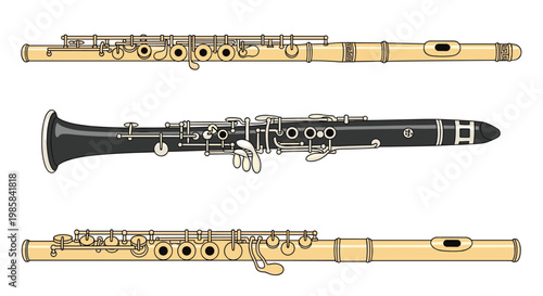 Woodwind musical instruments including a flute and clarinets isolated on a plain white background.