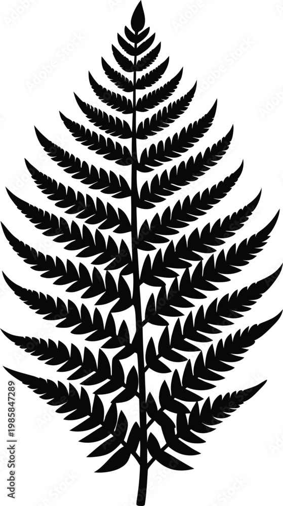 Obraz premium Intricate black and white illustration of a fern leaf showcasing detailed natural patterns Vector, illustration