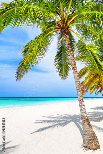 Tropical white sand beach, turquoise water and coconut palm trees under a bright blue sky on a sunny day in Punta Cana, Dominican republic.