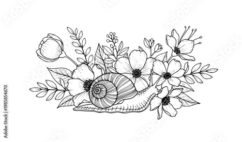 Floral snail vector black white botanical flower illustration nature