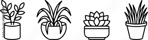 Set of black and white flowers and vases in a vector illustration design featuring a nature pattern with leaf silhouettes and tropical plant art