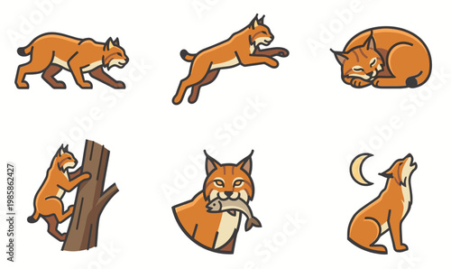 Set of cute bobcat vector illustrations in various poses including walking, jumping, sleeping, climbing, eating fish and howling at the moon. Wild feline flat line art icons.