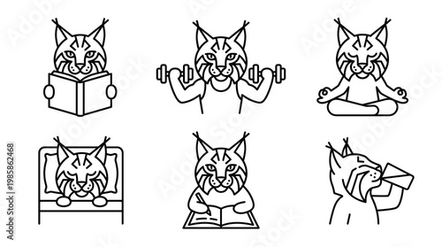 Creative bobcat vector line art icons showing funny anthropomorphic feline character doing daily human activities like reading, weightlifting, meditating, writing and sleeping.