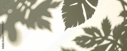 Abstract Leaf Shadow Design with Minimal Background Eco Banner