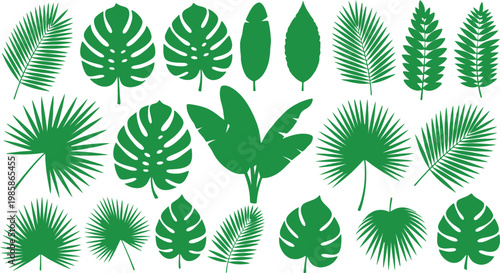 Tropical Leaf Silhouette Set with Monstera, Palm, Banana, and Exotic Jungle Leaves for Nature, Botanical, and Summer DesignsTropical Leaf Silhouette Set with Monstera, Palm, Banana, and Exotic Jungle 