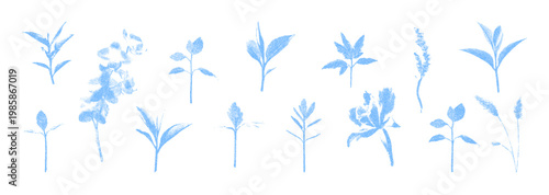 Blue cyanotype floral photocopy dot sprouts. Stipple texture collage scrapbook element. Vector with vintage grain effect isolated on transparent background.   