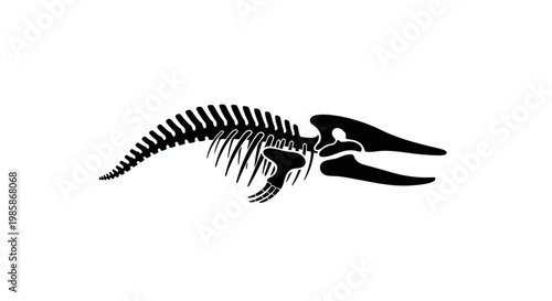 Dinosaur skeleton fossil remains closeup.