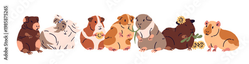 Group of cute guinea pigs is sitting together. Funny cavies are eating vegetables, grass, dandelion flowers. Rodents with food. Adorable pets, happy animals. Flat isolated vector illustration on white