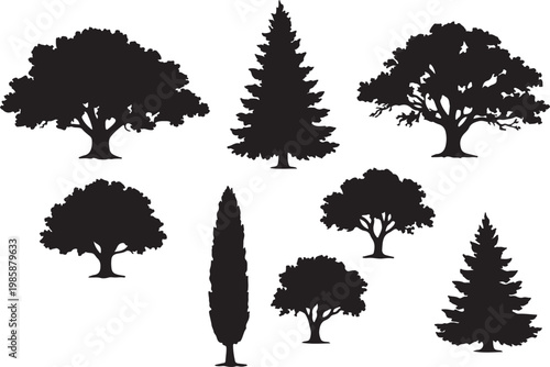 Diverse collection of tree silhouettes in various shapes and sizes, vector illustration