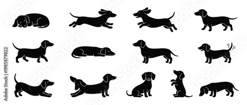 Dachshund dogs in various poses including sleeping, running, walking, sitting, and stretching, depicted as black silhouettes.