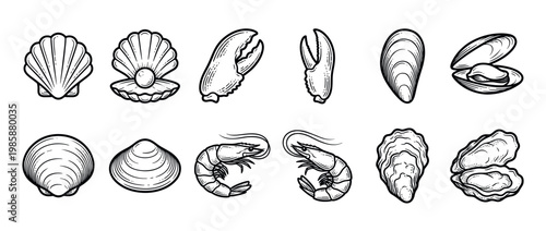 Seafood shellfish crustaceans mollusks collection of hand-drawn vector illustrations featuring various marine animals in a vintage style.