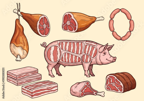 Hand-Drawn Vintage Butcher Shop Illustration Set with Pork Meat Cuts, Ham, Bacon, and Sausages