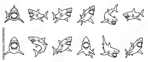 Set of black and white line art sharks depicting aggressive marine predators with wide open jaws and sharp teeth in various poses.