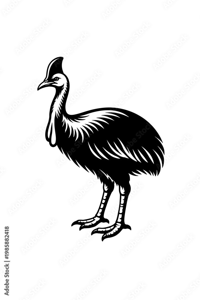 Obraz premium A black and white illustration of a large bird with a distinctive casque on its head standing on two legs
