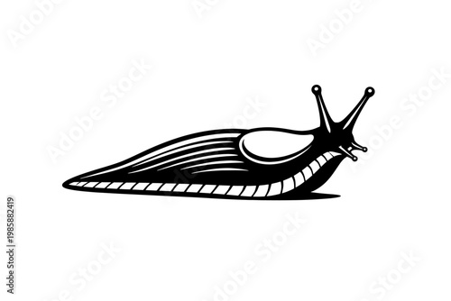 A black and white illustration of a snail with a shell and antennae on a plain background