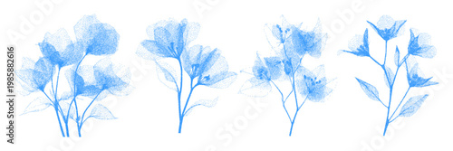 Blue cyanotype herbarium plant set with X-ray effect. Grunge style flowers. Vector.