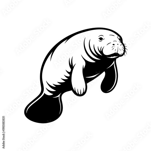 A black and white illustration of a manatee swimming in the water, a large aquatic mammal with flippers and a bulbous body