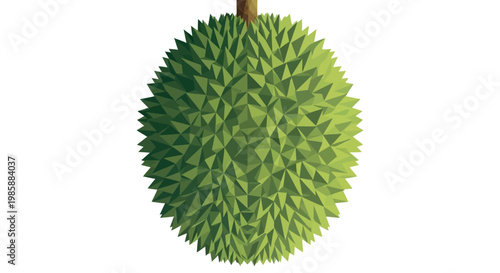 A detailed, overhead illustration of a spiky durian fruit with its distinctive green husk, presented against a stark white background, showcasing a vibrant and visually striking composition