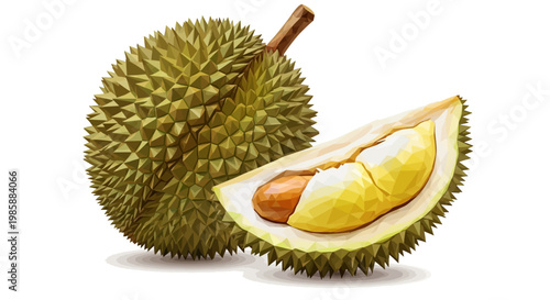 Close-up of a ripe durian fruit, with a single slice cut open revealing the creamy yellow flesh and brown seed, presented in a detailed digital illustration against a clean white background
