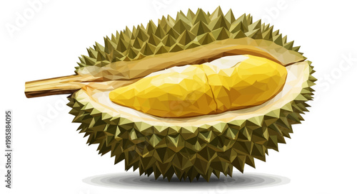 Vector illustration of a halved durian fruit with its creamy yellow flesh exposed, depicted with a spiky outer shell on a white background, rendered in a bright, flat style