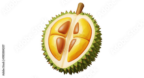 A vibrant digital illustration showcases a halved durian fruit, revealing its segmented yellow flesh and seeds, set against a stark white backdrop with a focus on its spiky green rind