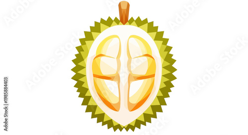 A vibrant, symmetrical illustration of a halved durian fruit, showcasing its creamy, pale yellow segments and spiky green outer shell against a stark white background, done in a clean
