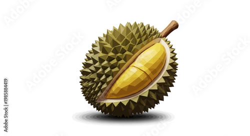 A single durian fruit, partially cut open to reveal its yellow flesh, is presented in a detailed digital illustration against a clean white background, emphasizing its unique spiky texture