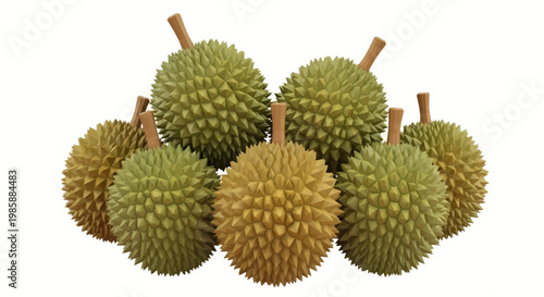 A group of durian fruits with their distinctive spiky shells are displayed against a plain white backdrop, presented in a studio shot with bright lighting that accentuates their textured