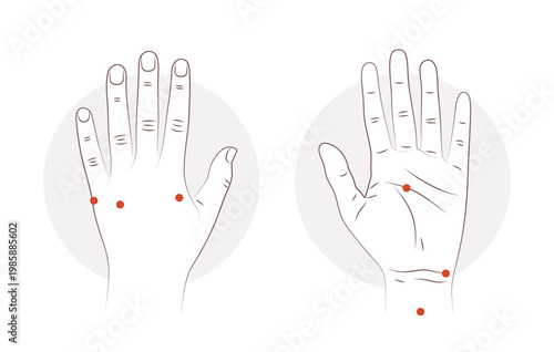 Acupressure points on the hand