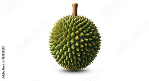 Close-up studio shot of a single, spiky durian fruit with a short stem, set against a stark white background, showcasing its unique texture and green color in a simple, eye-level composition