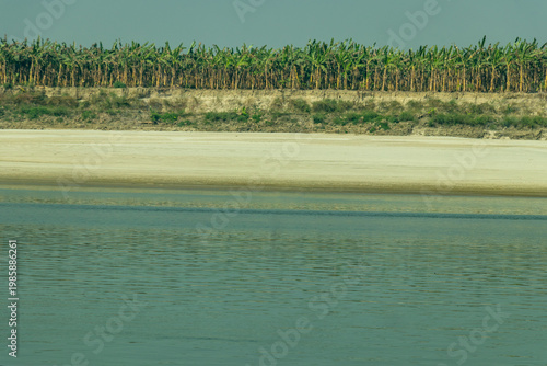 Lush banana groves line a rural riverbank, blue water, sandy shore
