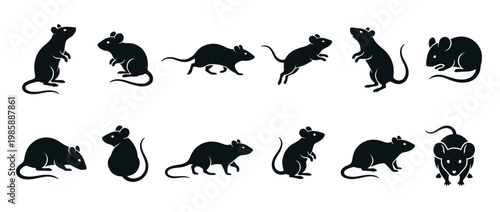 Rats mice rodents silhouettes set showing various poses and movements in a collection of vector icons for graphic design.
