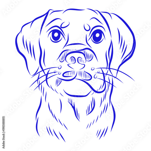 Hand drawn vector illustration of an adult dog s emotions, dog portrait, blue line art on a white background