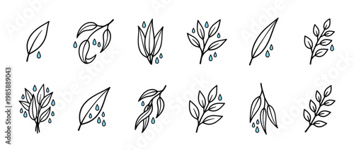 Leaves and branches with water droplets in a charming hand-drawn line art style, depicting nature's freshness and organic growth.