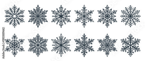 Snowflakes winter collection of twelve unique intricate frosty ice crystals, perfect for seasonal decoration and holiday designs.