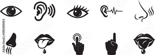 5 senses icon set with perception symbols for sight, hearing, taste, smell and touch vector.