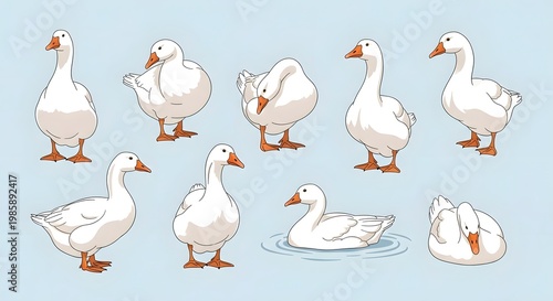 Collection of White Geese in Various Poses and Activities.