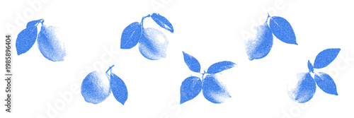 Blue cyanotype lemon citrus photocopy art collage cut outs set. Paper clippings, organic food stickers with vintage dot texture. Retro vector mediterranean botanical illustration.
