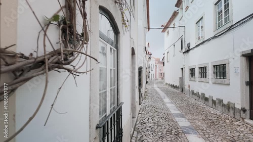 Aerial drone shot pulling back from tangled branches to reveal a quaint and narrow cobblestone street in the historic Cascais Old Town, with its characteristic old white buildings