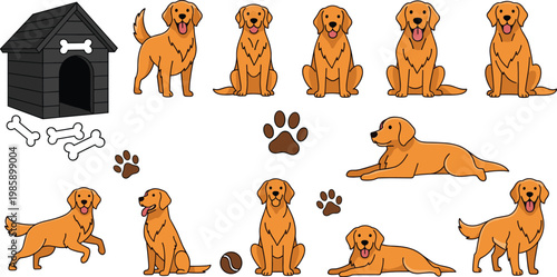 Cute Golden Retriever Dog Collection Set with Various Poses Kennel Paw Print Bone and Ball Elements