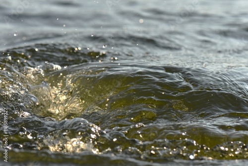 Water splashes in the lake, close-up, abstract background
