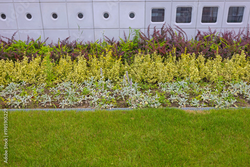 Cultivated Garden Plants Lawn in Front of Modern White Building in New Belgrade