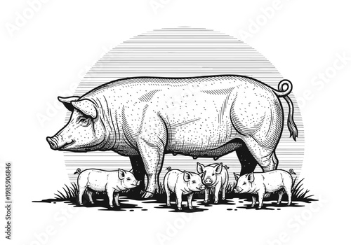Vintage Woodcut Style Illustration of a Mother Pig with Piglets, Farm Livestock Engraving