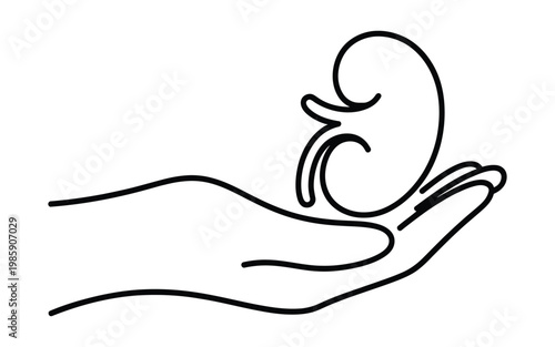 Minimalist black line art of human hand holding kidney organ symbol representing health care and organ donation awareness icon.