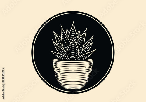 Vintage Linocut Illustration of a Potted Succulent Plant in a Circular Frame, Black and White Woodcut Style Houseplant Graphic