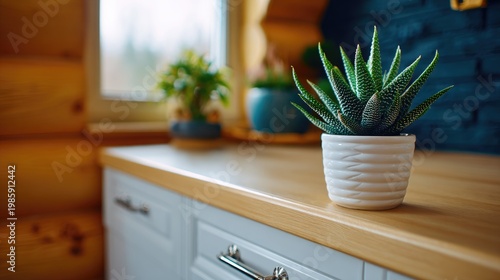 Close up of succulent plant in a white pot on wooden countertop indoors