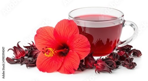 Hibiscus tea in a glass cup with fresh hibiscus flower and dried calyces isolated on white background