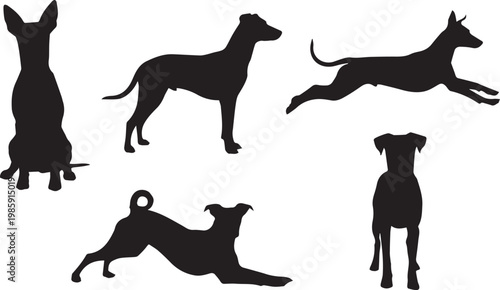 A set of black silhouettes of dogs in various poses on a white background